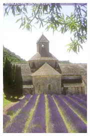 Sénanque Abbey