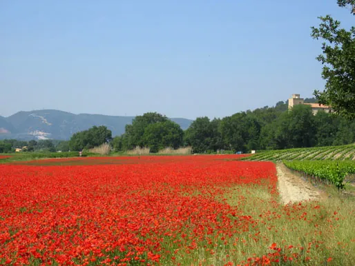 Luberon Park